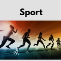 Einlagen für deinen Sport